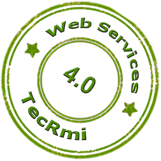 Web Services 4.0